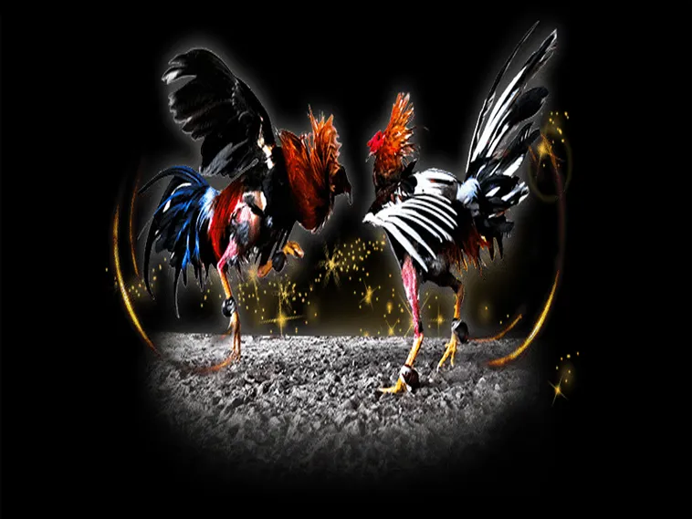 Đá Gà Fun88 Đỉnh Cao Giải Trí Cá Cược Trực Tuyến 2025